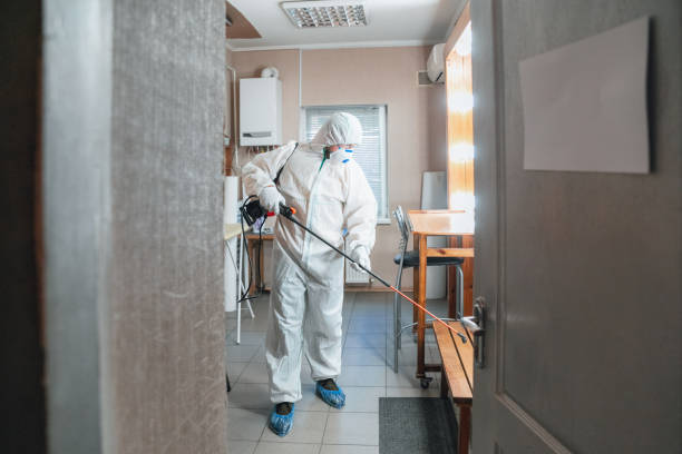 Mold Odor Removal Services in High Rolls, NM