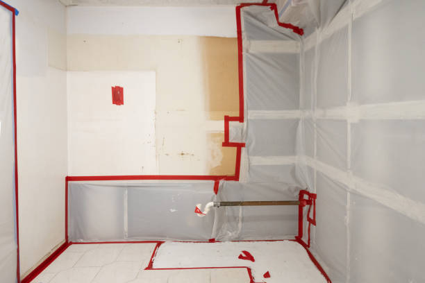 Best Mold Prevention Services  in High Rolls, NM