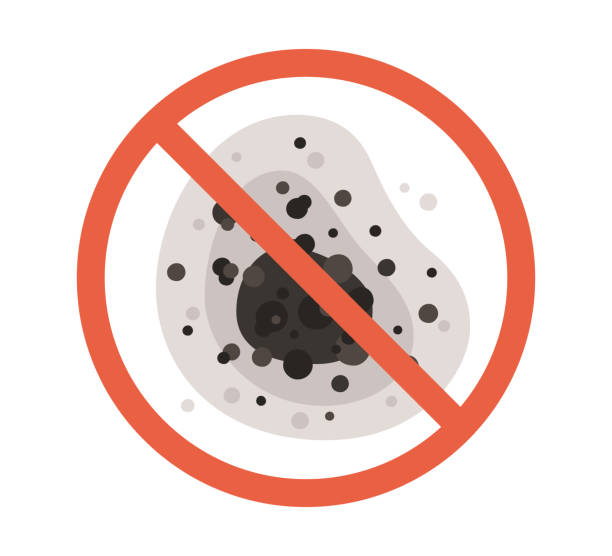 Best Mold Remediation for Healthcare Facilities  in High Rolls, NM